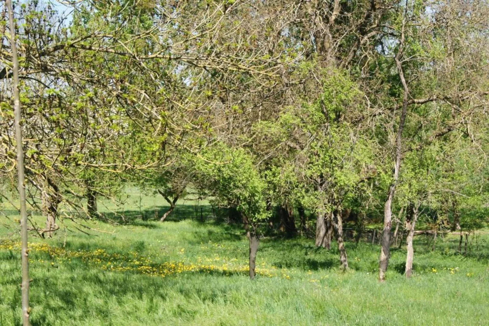 Gite au Grenier d'abondance-Areas within 20km in summer