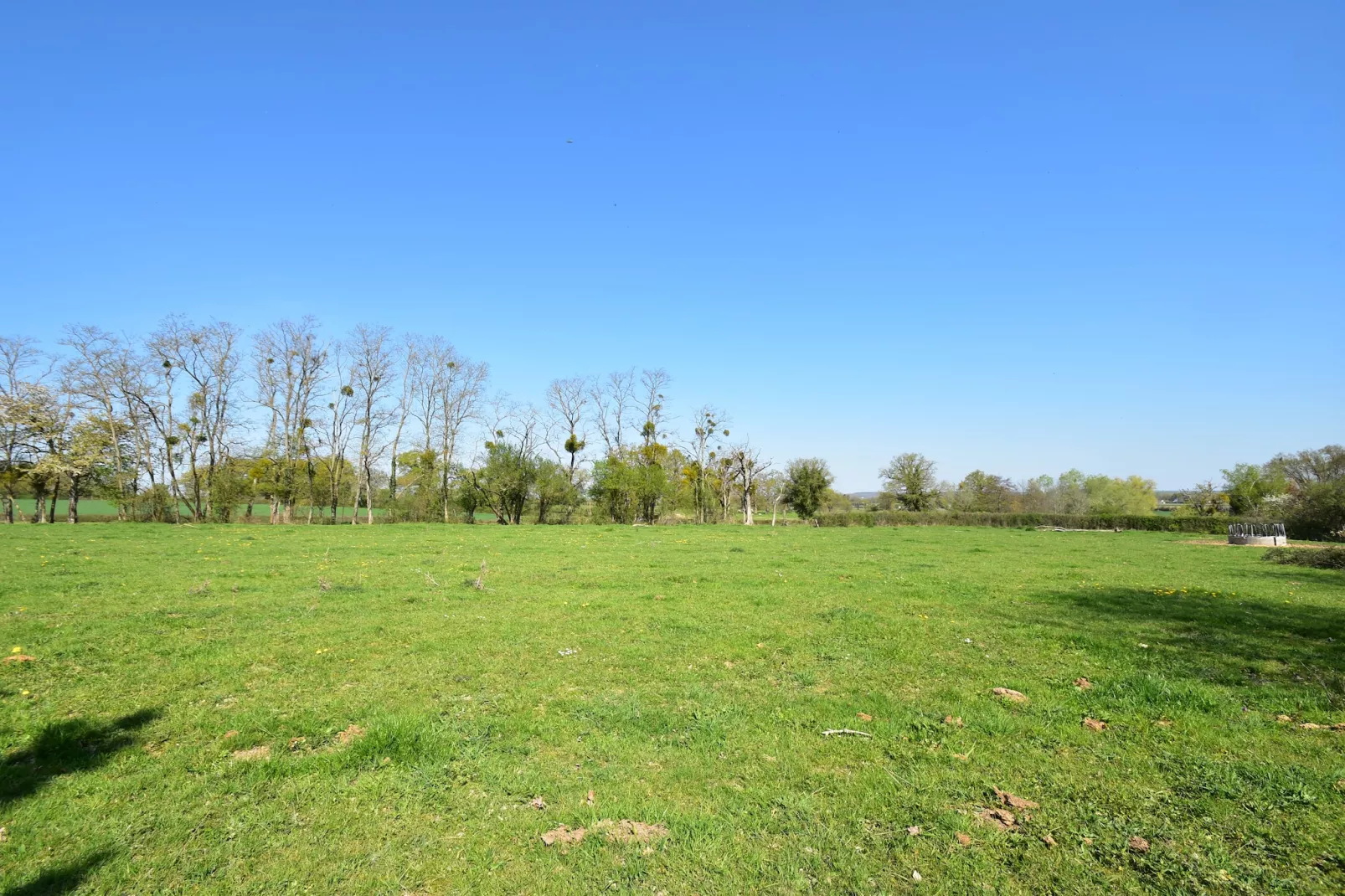 Gite 7 pers Decize-Garten Sommer