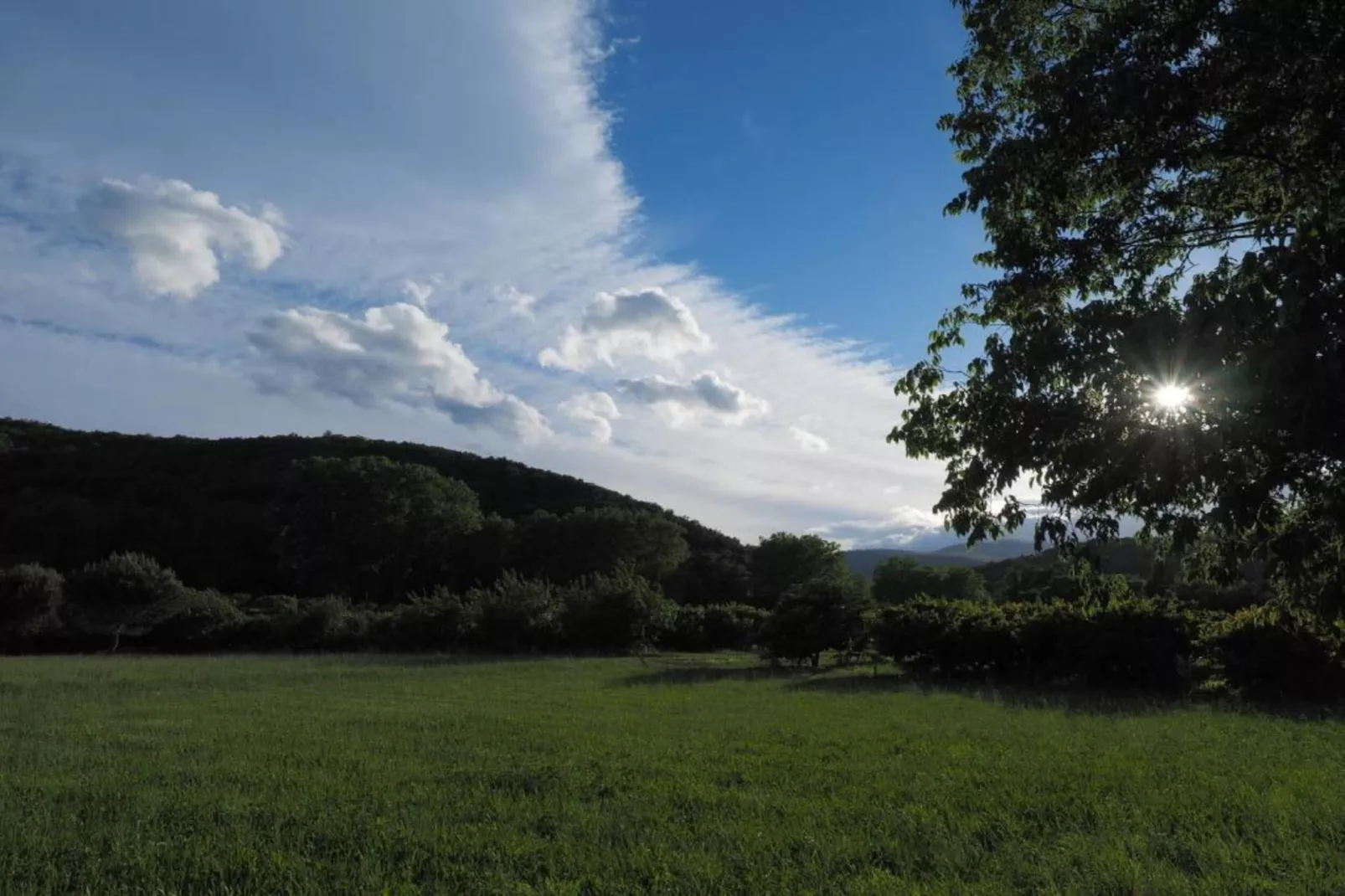 Chalet Panoramique-Areas within 20km in summer