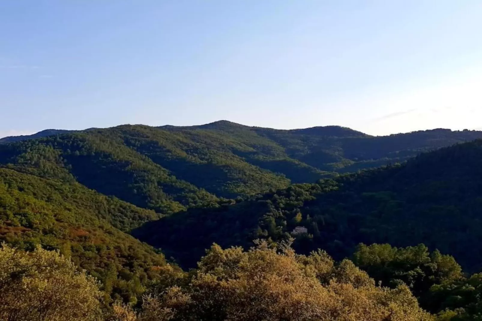 La Stub-Areas within 5km in summer