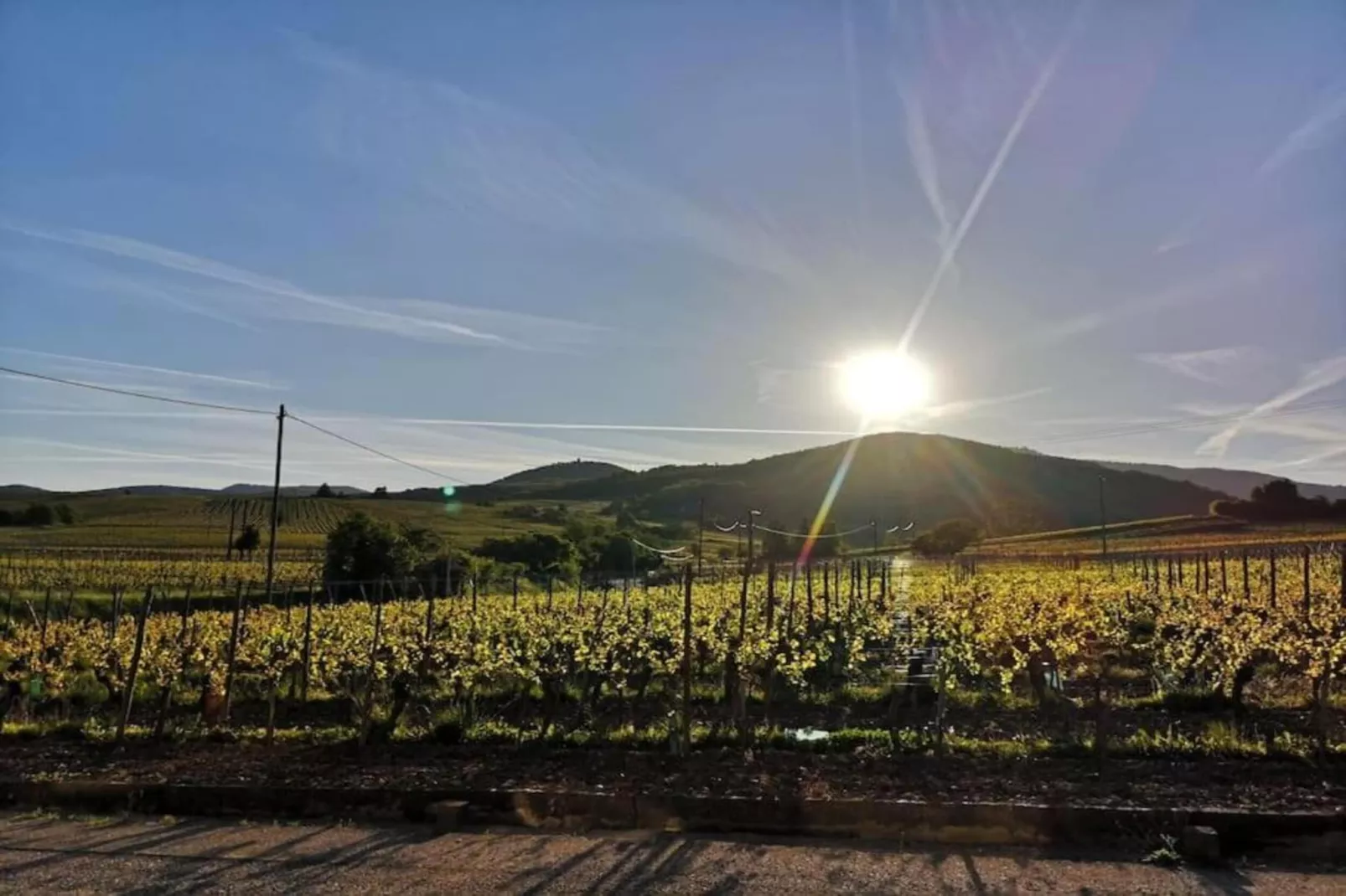 Le Domaine des Rois 3-Areas within 5km in summer