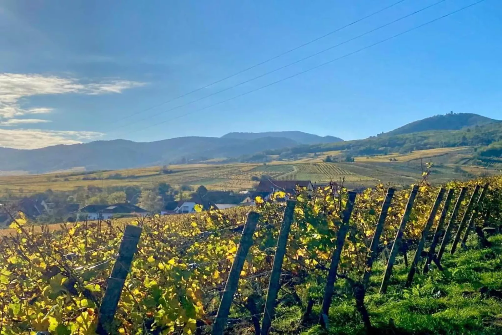 Le Domaine des Rois 1-Areas within 5km in summer