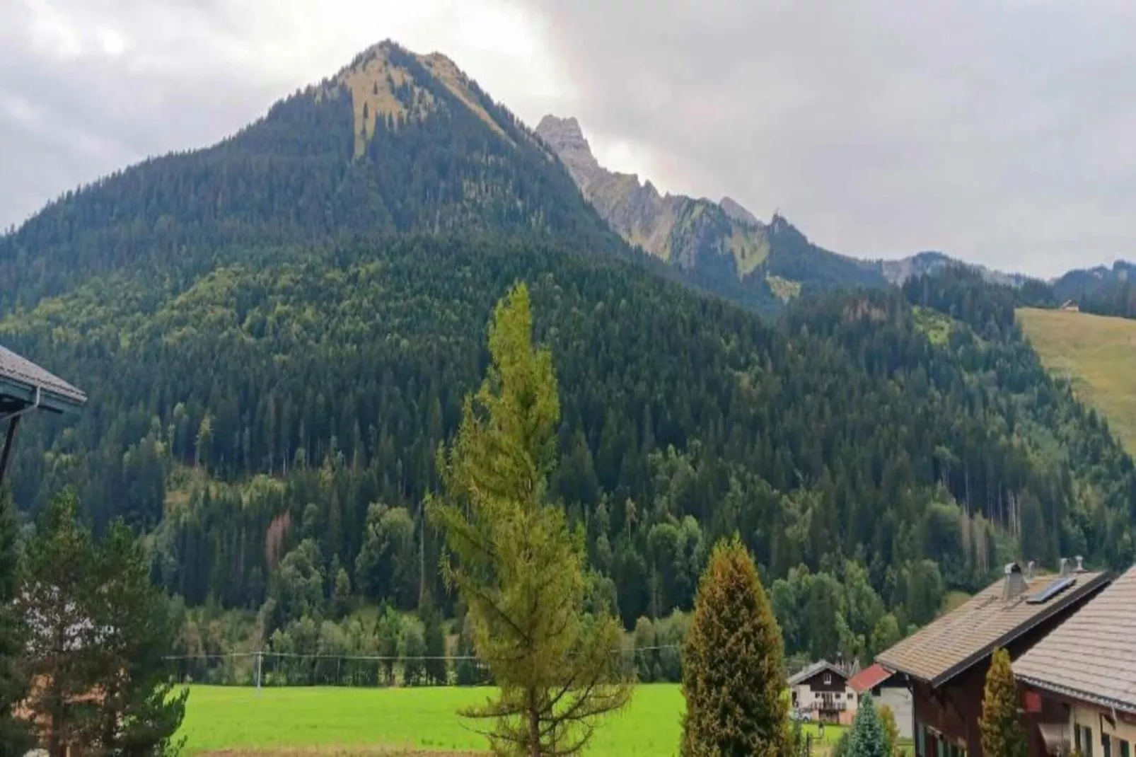 Chalet Sherwood Forest-Areas within 20km in summer