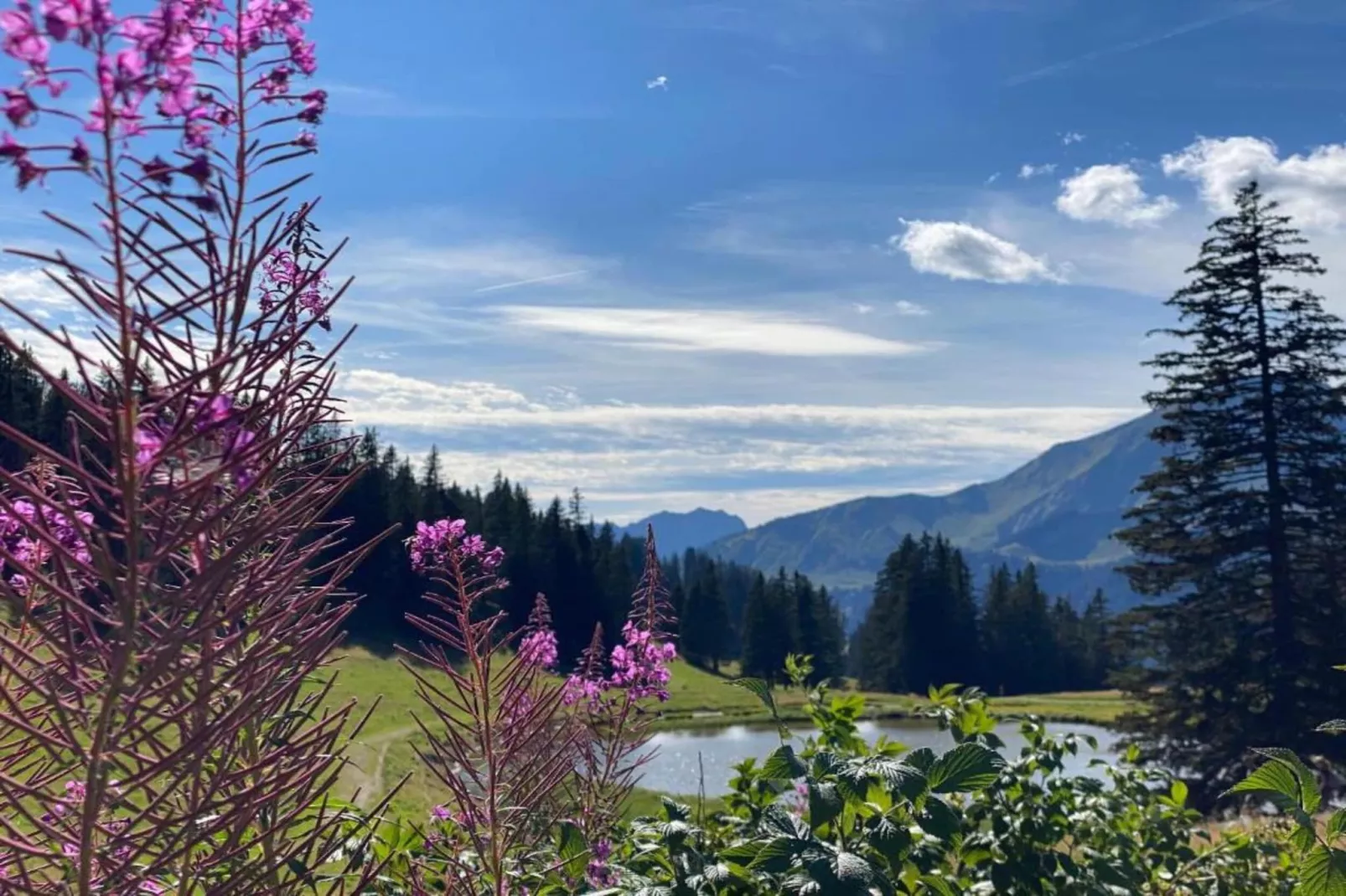 Les Fermes de Chatel 3-Areas within 20km in summer