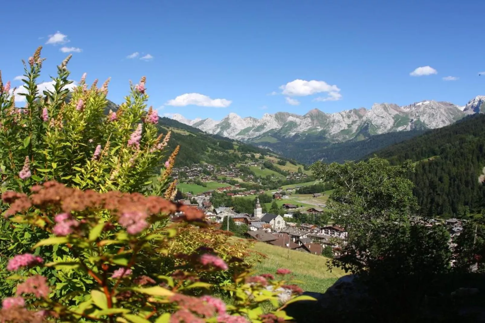 Residence Les Chalets d'Evian 2-Areas within 20km in summer