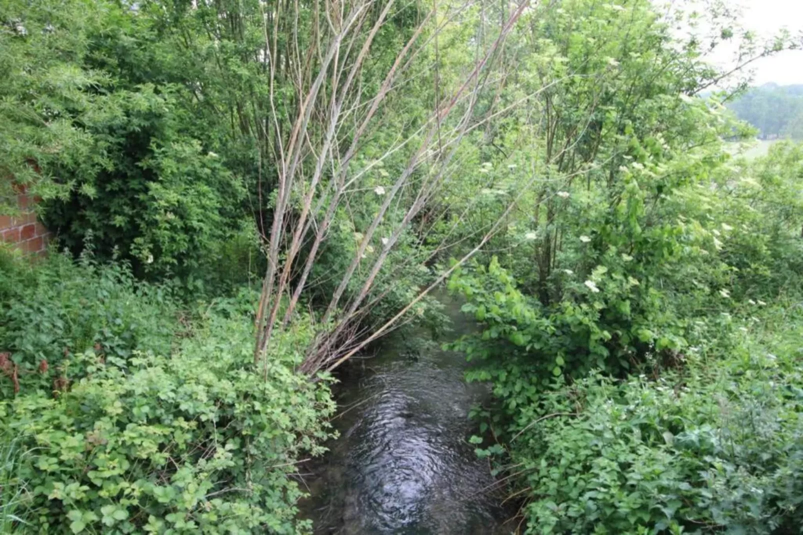 Gite Saint Julien-Zones été à 20 km
