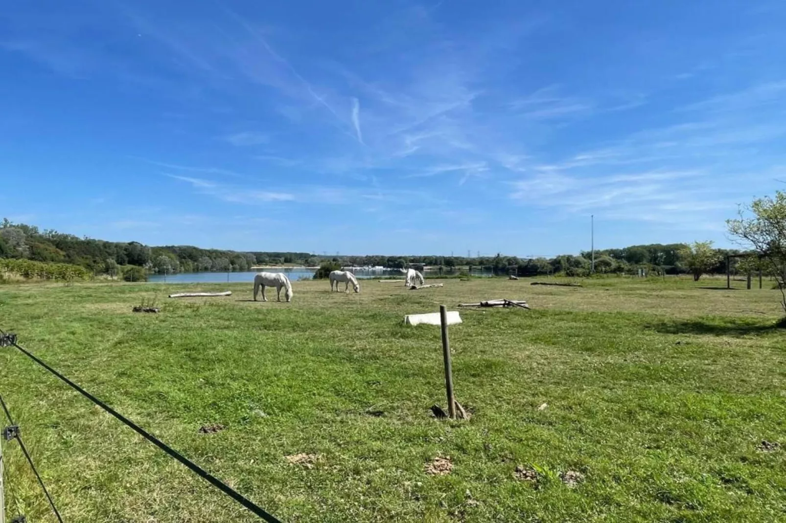 Ravinala-Areas within 5km in summer