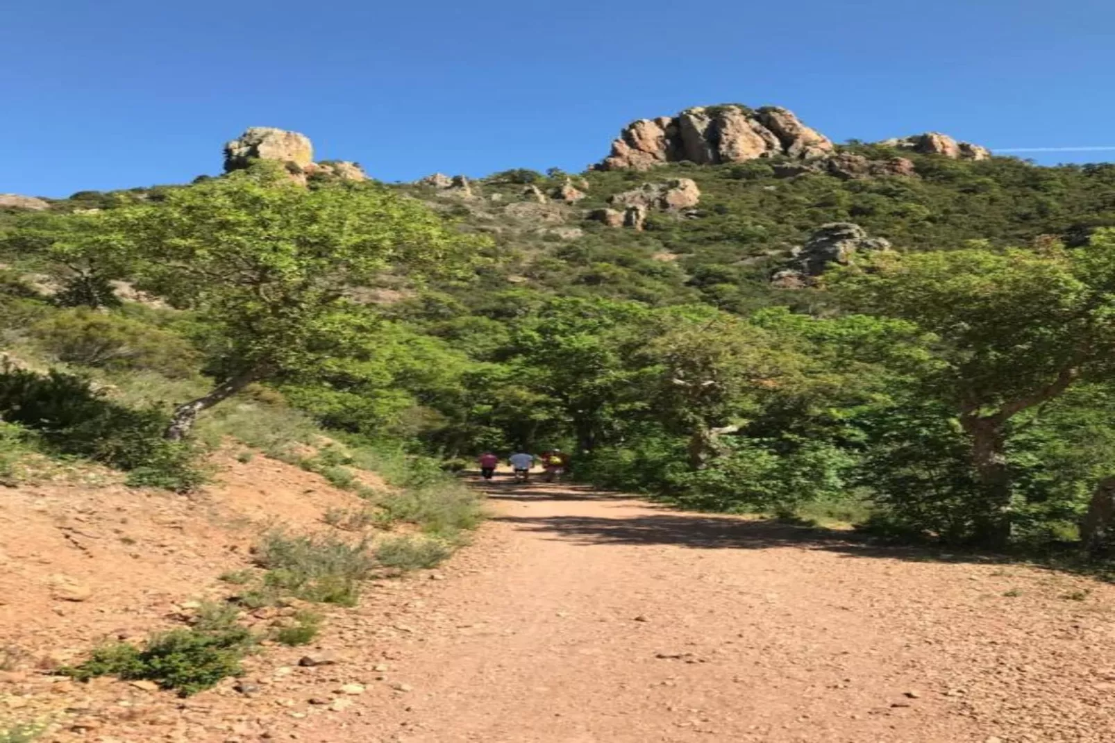 Jonila-Areas within 20km in summer