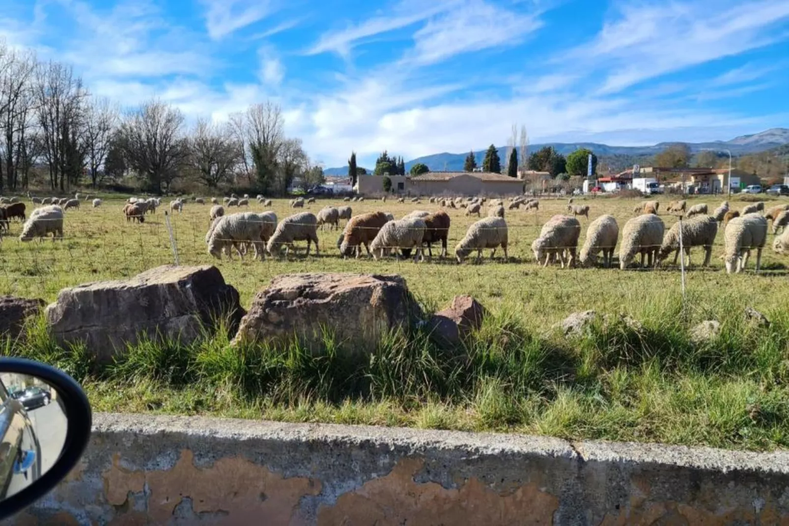 Verdi-Areas within 20km in summer