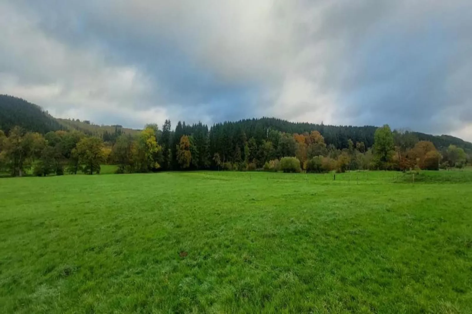 Verdi-Zones été à 20 km