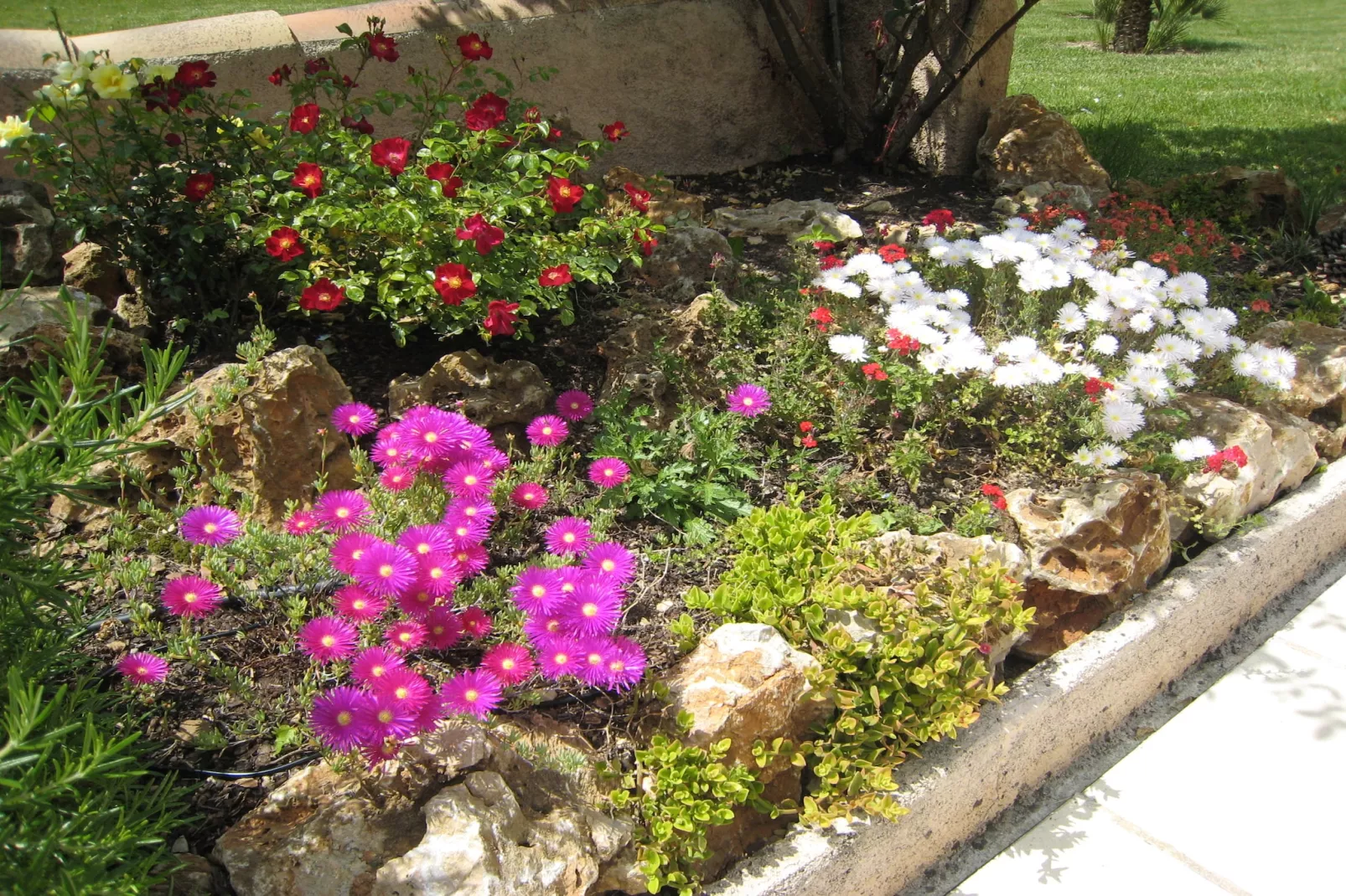 Mas du Puits-Garten Sommer