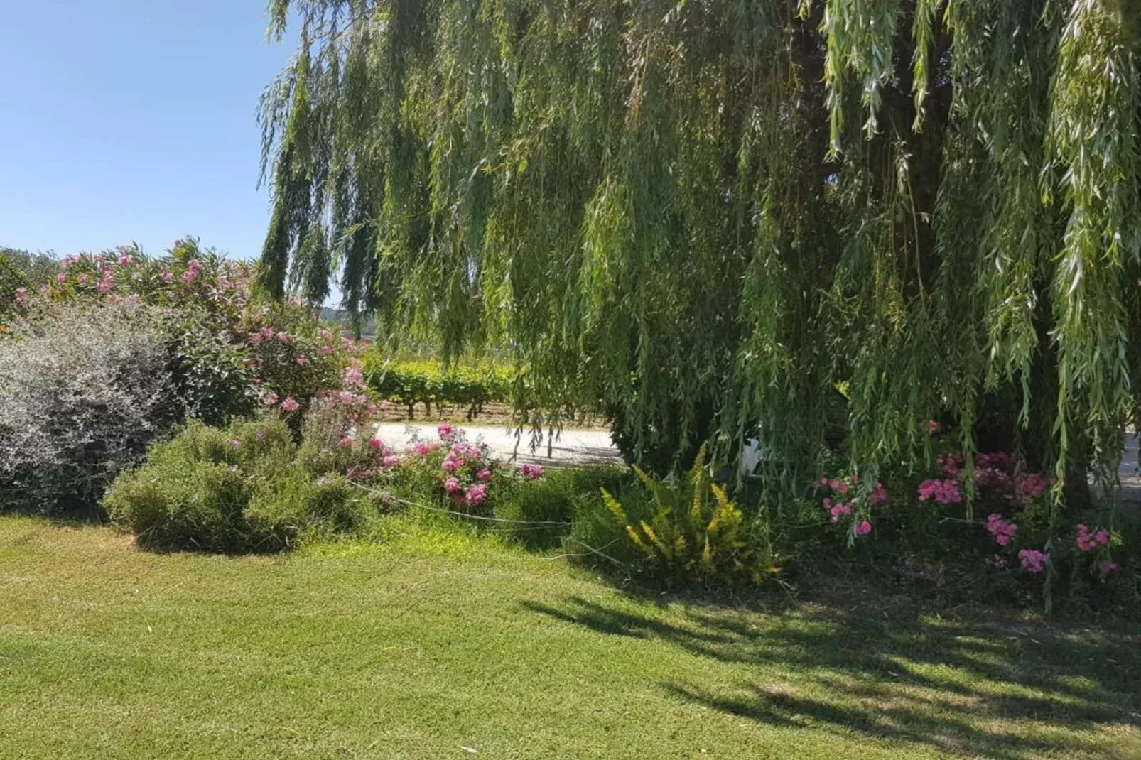 Grande Maison-Areas within 20km in summer