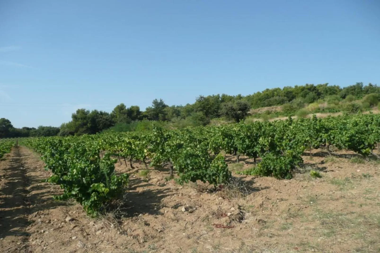 Entre Luberon et Avignon-Areas within 20km in summer