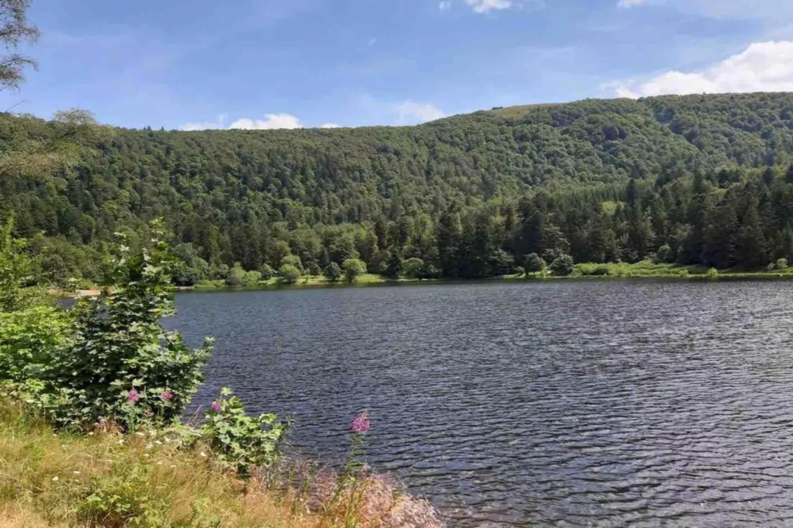 La Bergerie-Areas within 20km in summer