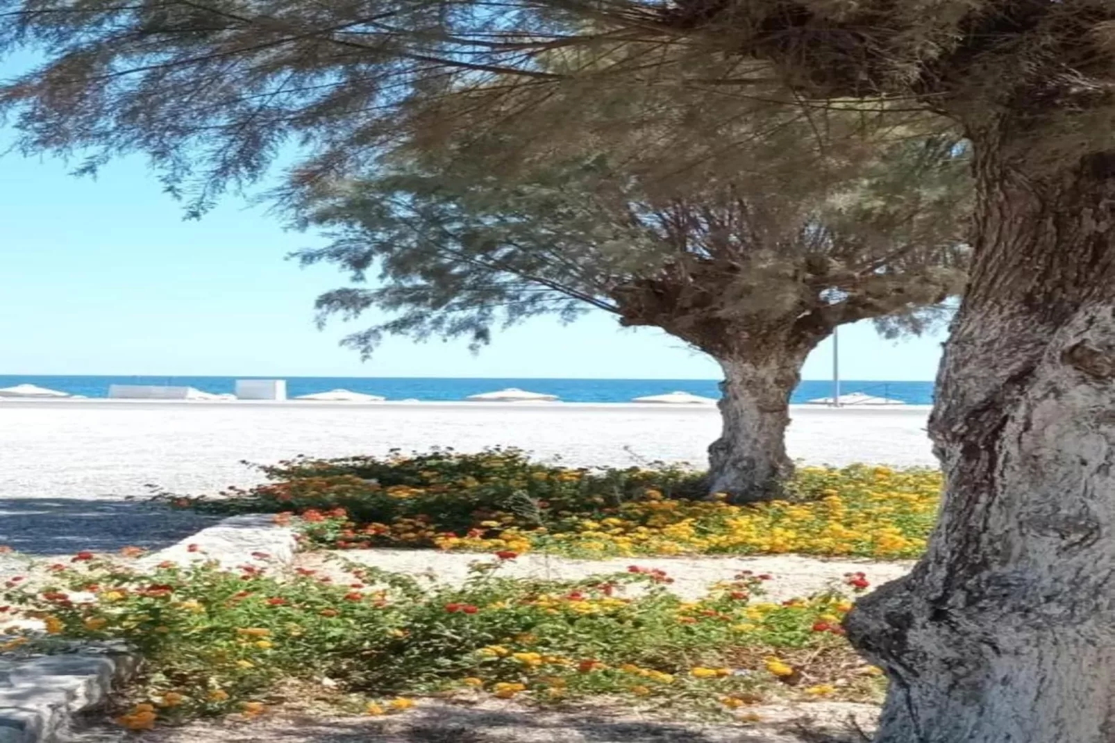 Emarmene Country Home-Areas within 5km in summer
