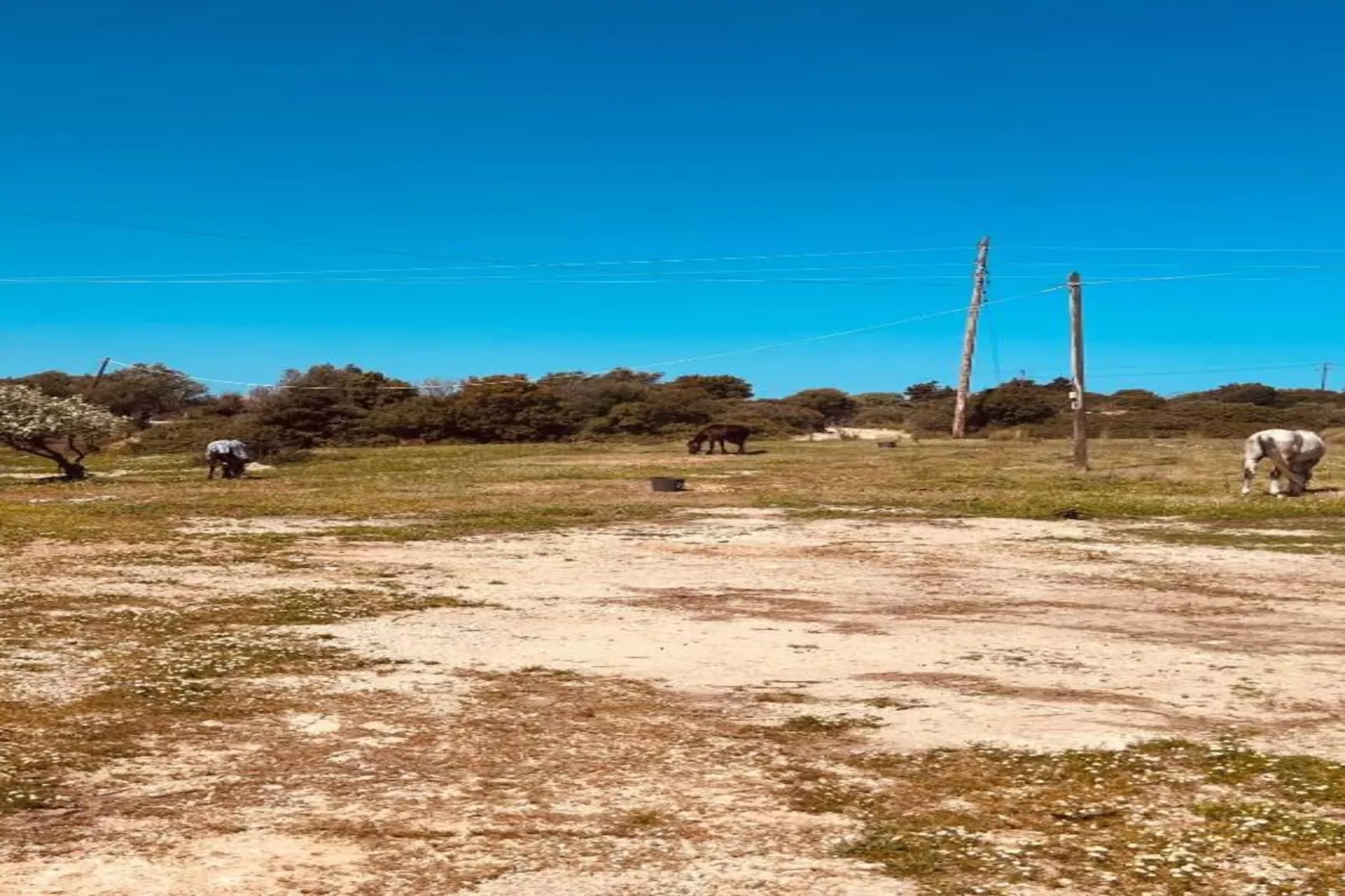 Villa Olimpo-Gebiete Sommer 20 km