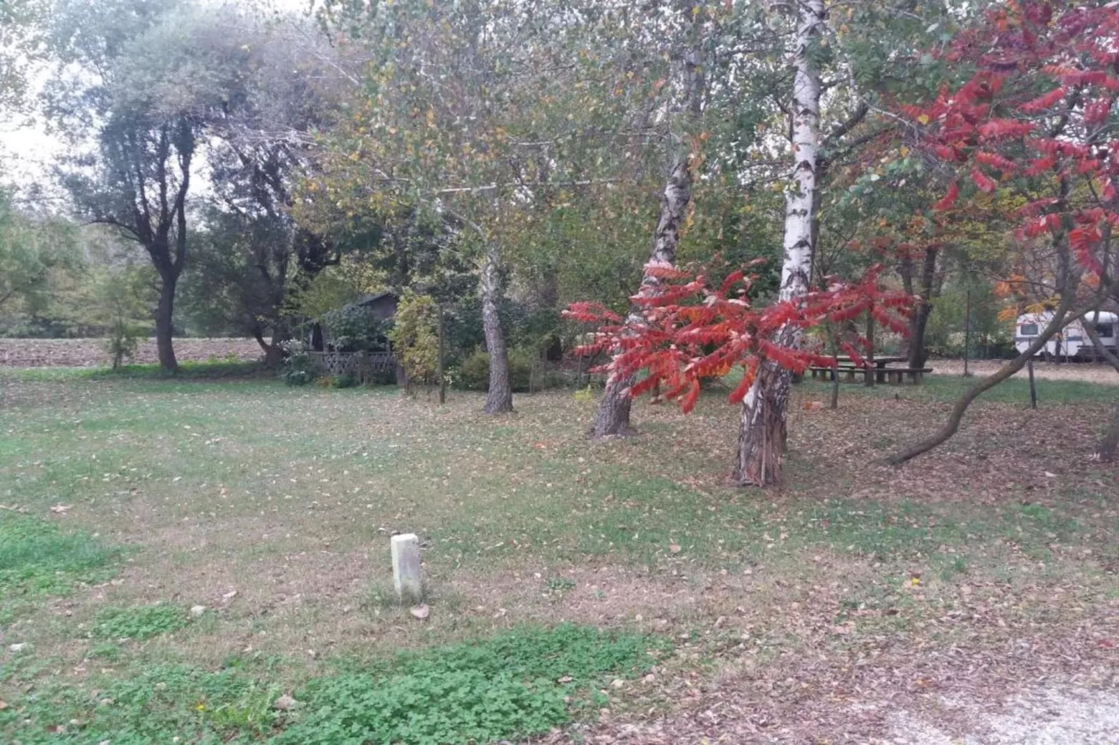 Silvano 2-Areas within 20km in summer