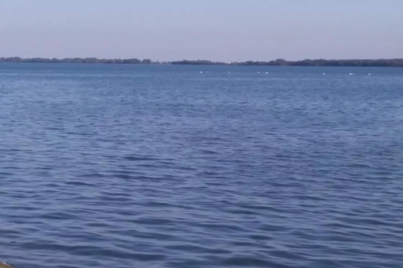 Apartment Josip-Areas within 20km in summer