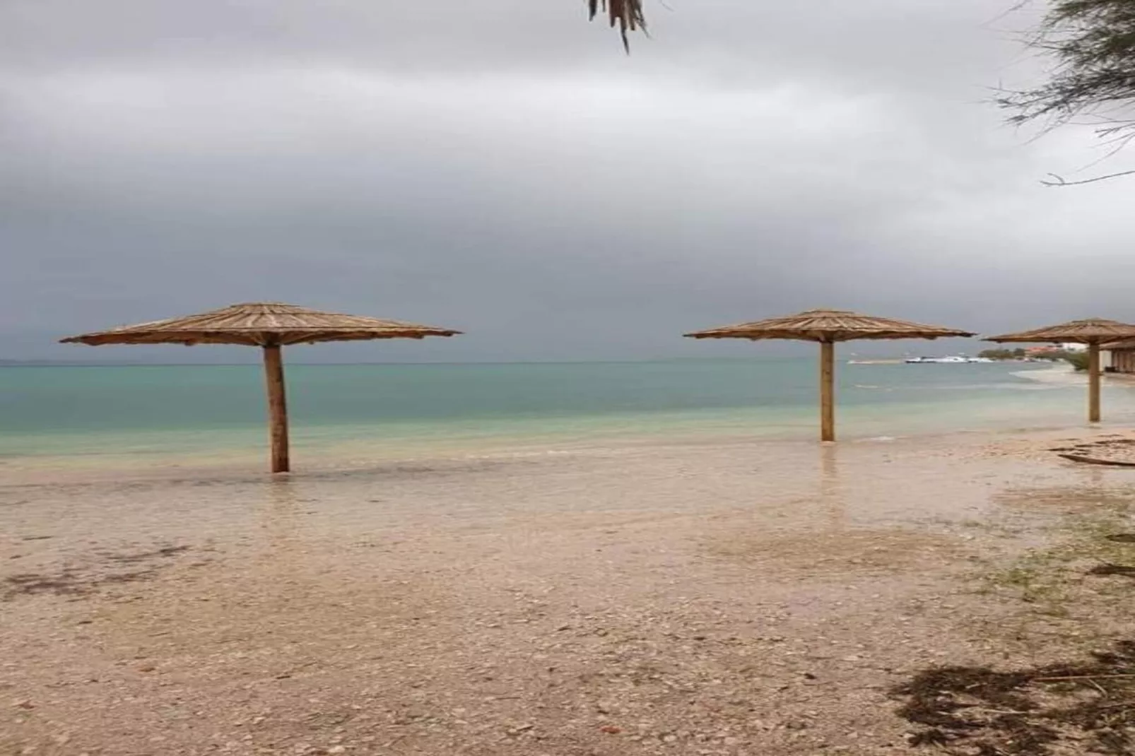 Apartment Palma-Areas within 20km in summer