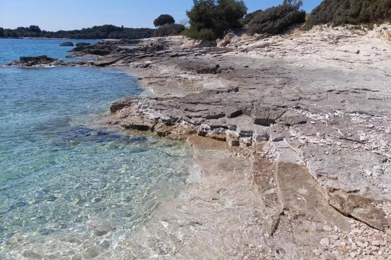 App Musoga 1-Zones été à 20 km