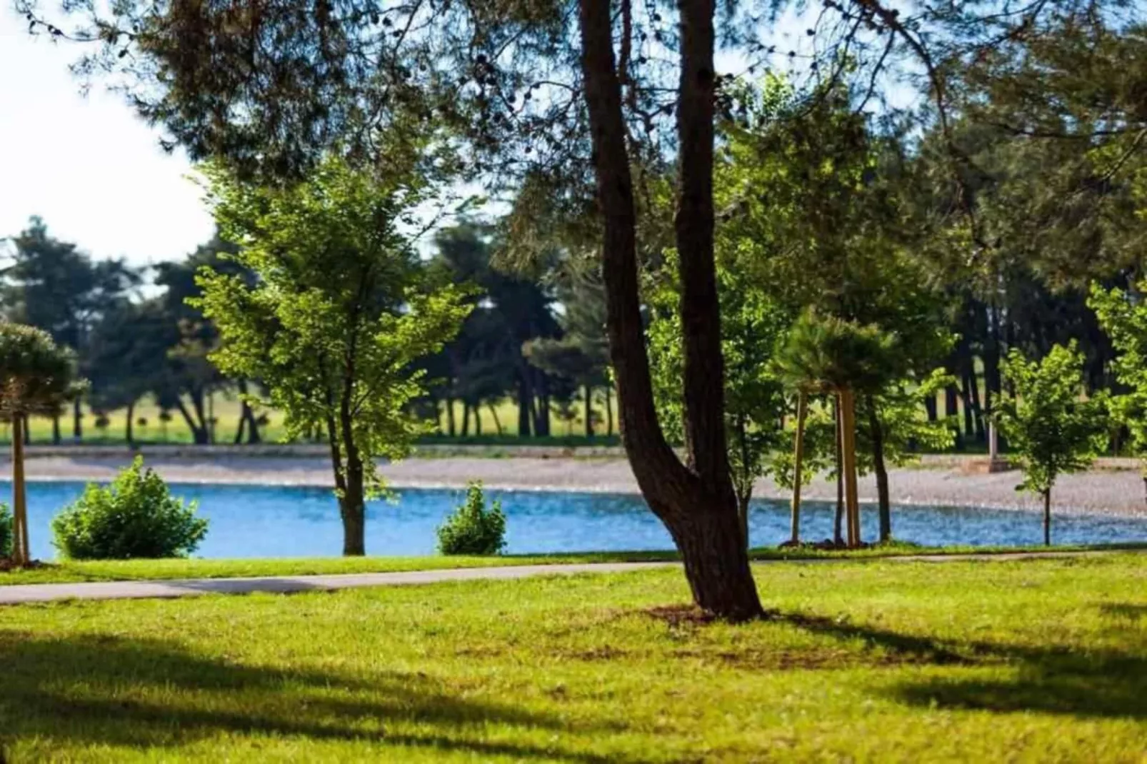 Casa Vacanza Orsera-Areas within 1km in summer