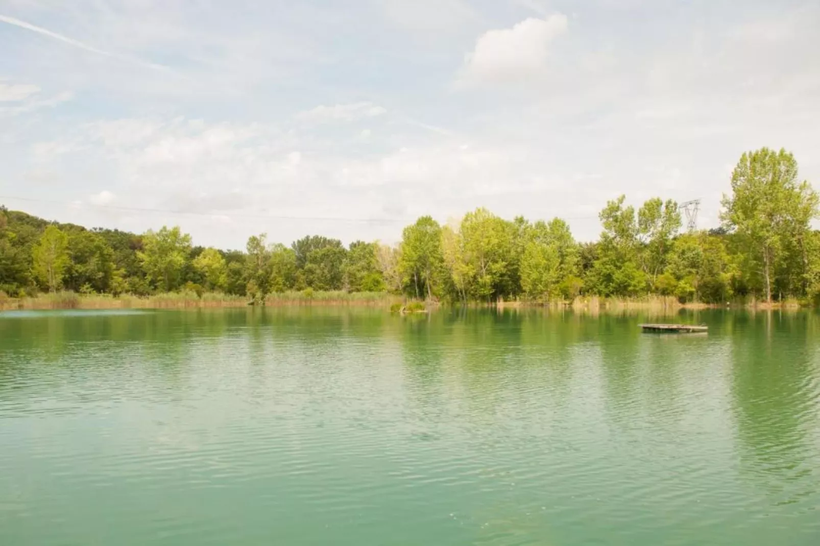 Quercia Gardenia-Areas within 20km in summer