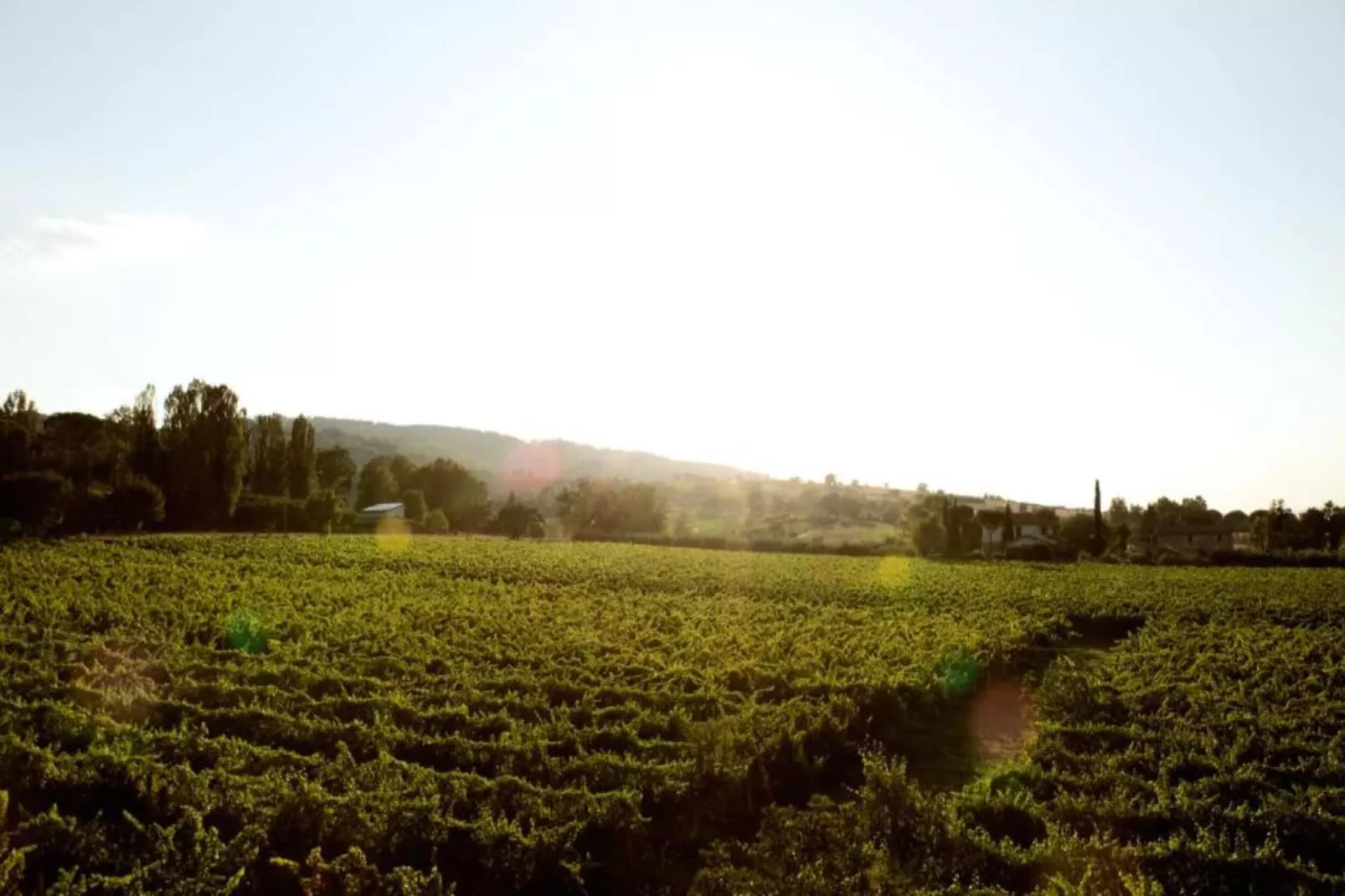 Spello-Areas within 20km in summer