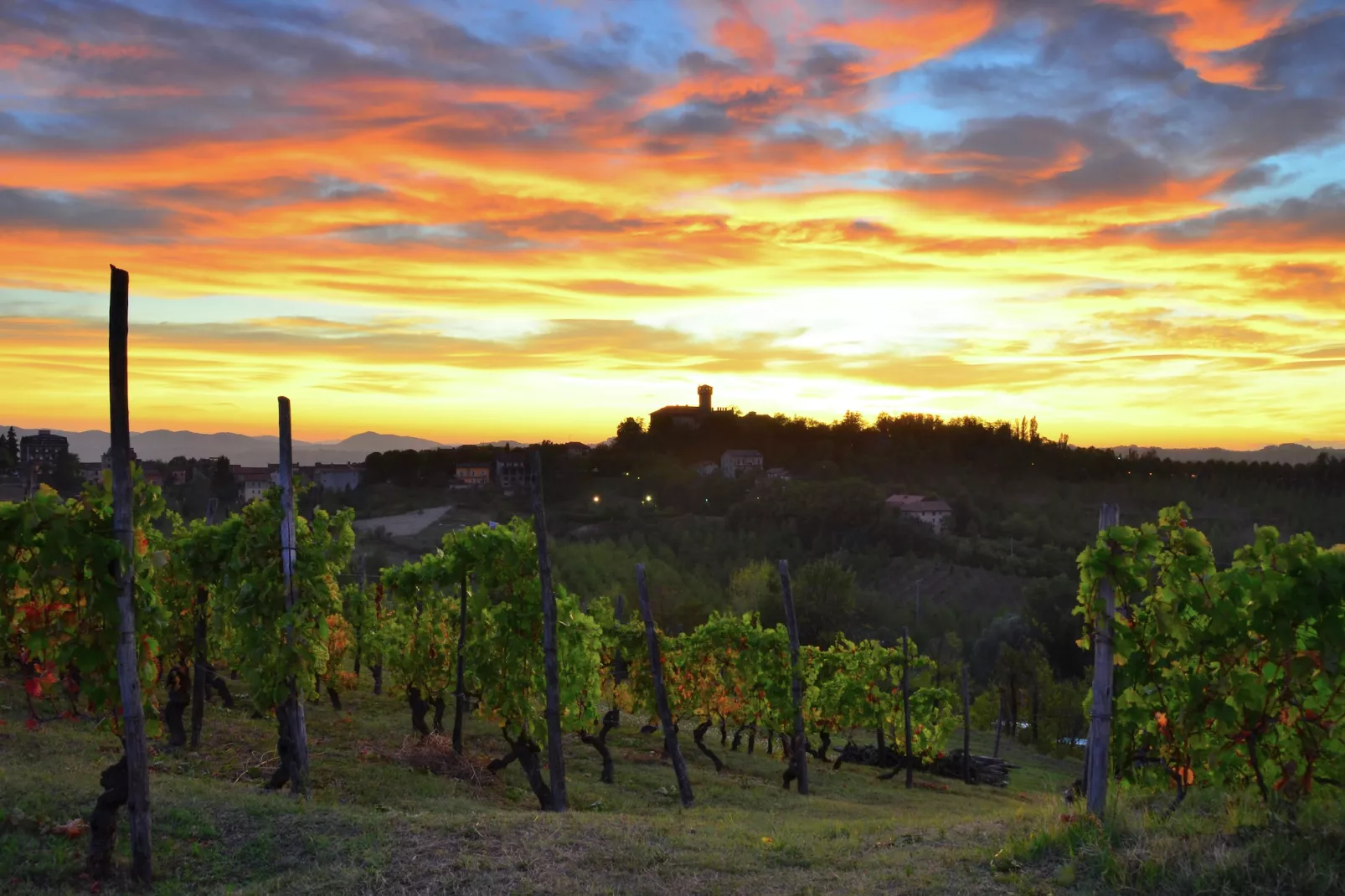 Nobile-Areas within 5km in summer