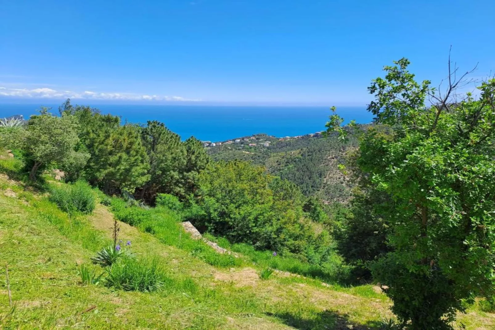 Nidino del Gufo-Areas within 20km in summer