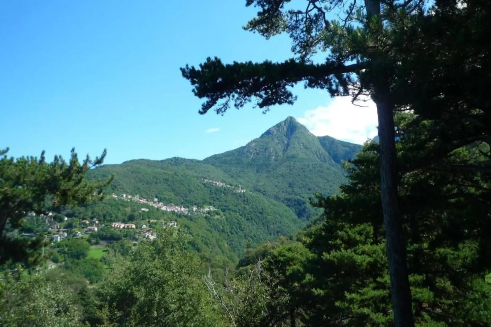 Bilo Nadia 3 piano-Areas within 5km in summer