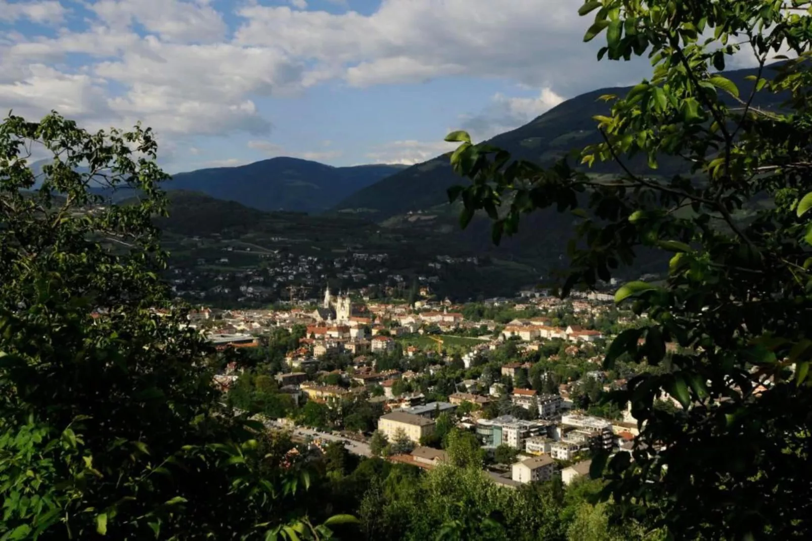 Rosalpina-Areas within 20km in summer