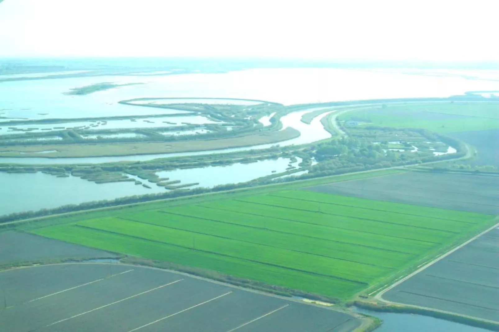 Oasi Bianca-Areas within 20km in summer
