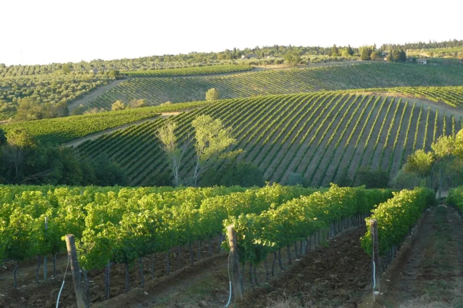 Sopra Nisa-Areas within 20km in summer