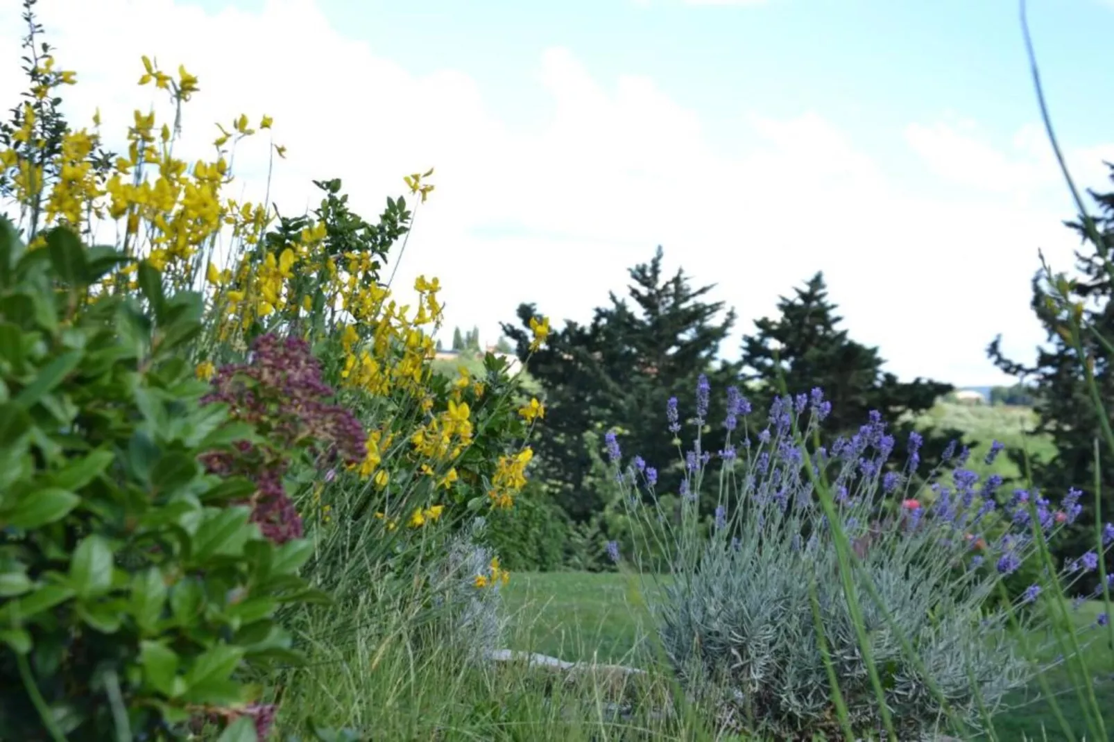 Loggia-Gebiete Sommer 20 km