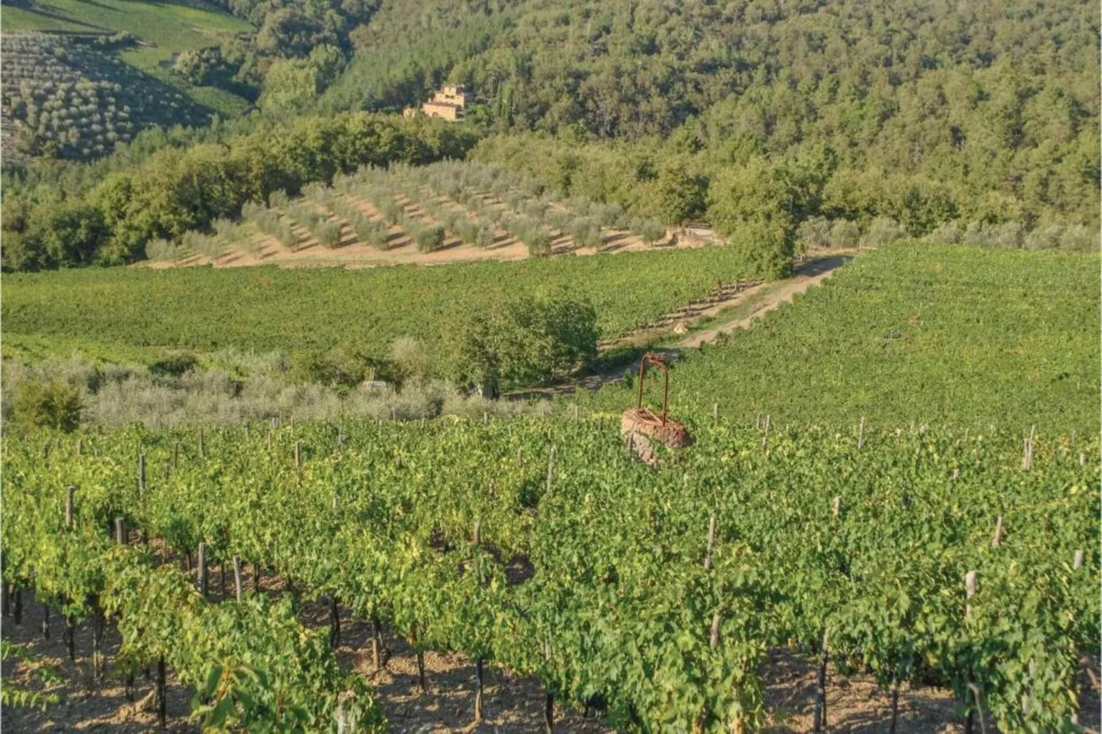 Chianti Village Morrocco T3-Areas within 5km in summer