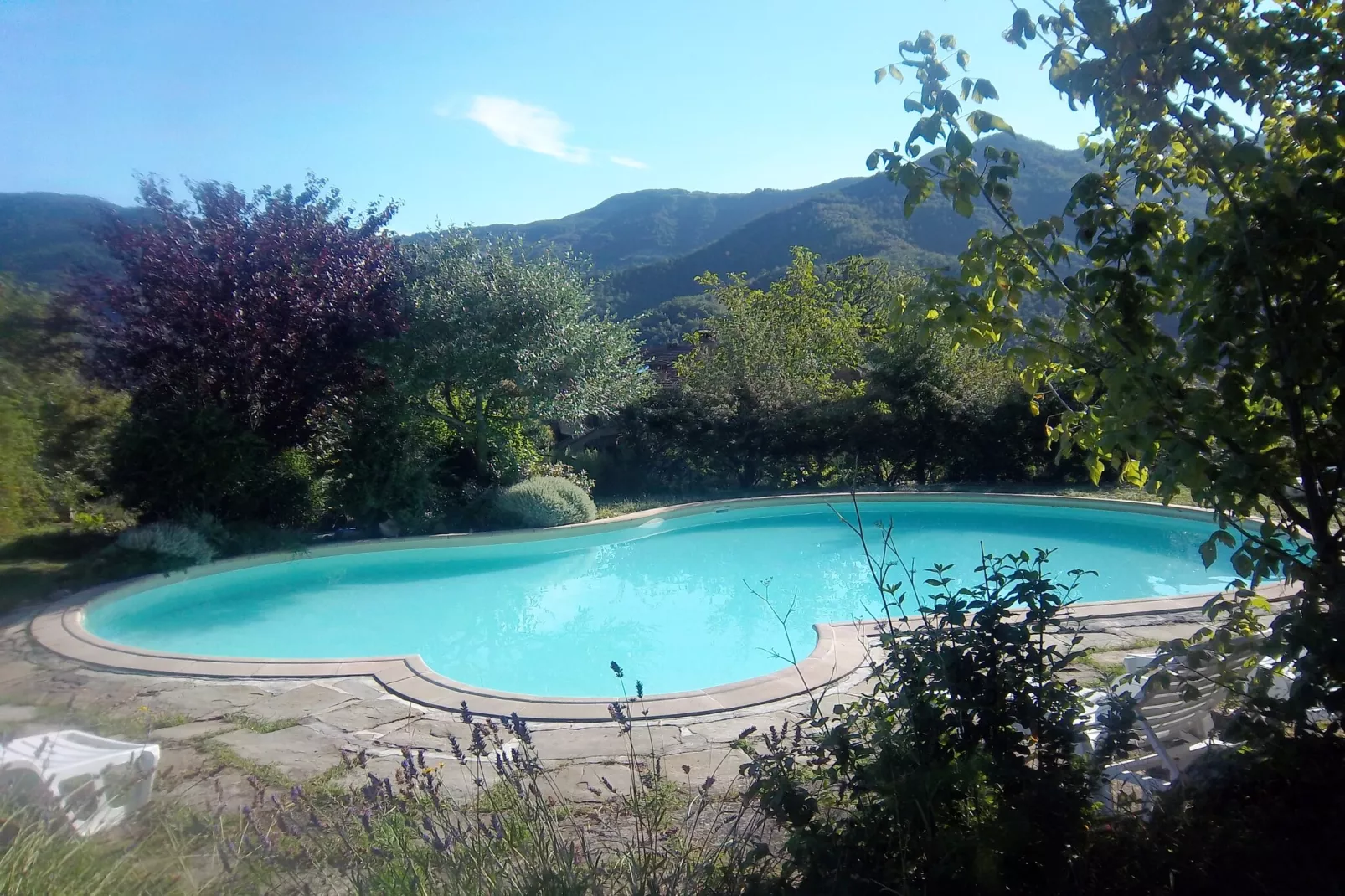 San Godenzo Casa Grande 1-Swimming pool