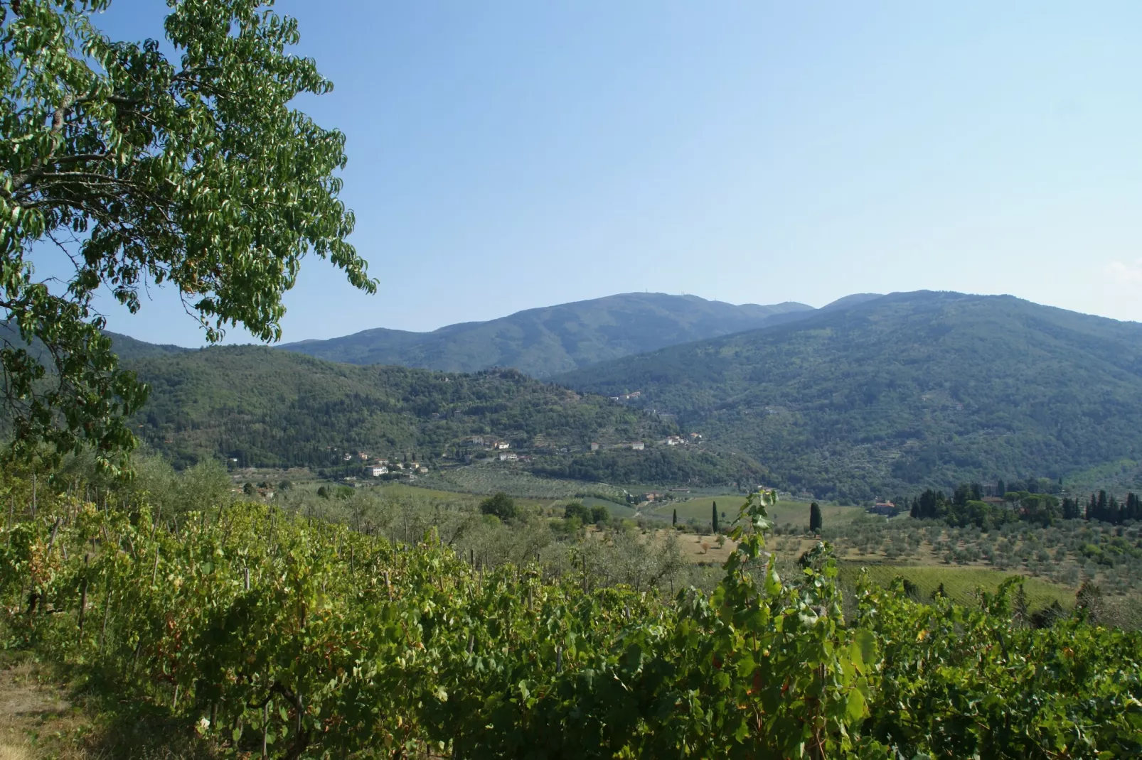 Il Ciliegio-Areas within 1km in summer