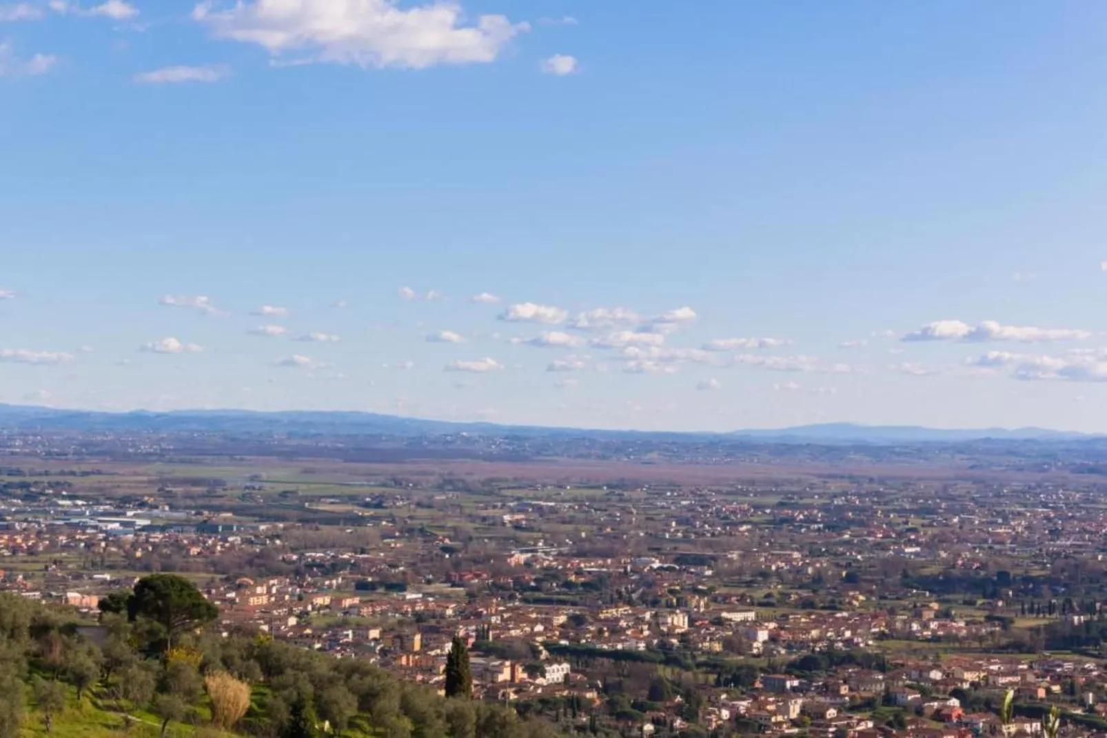 Olivi Verde-Areas within 20km in summer