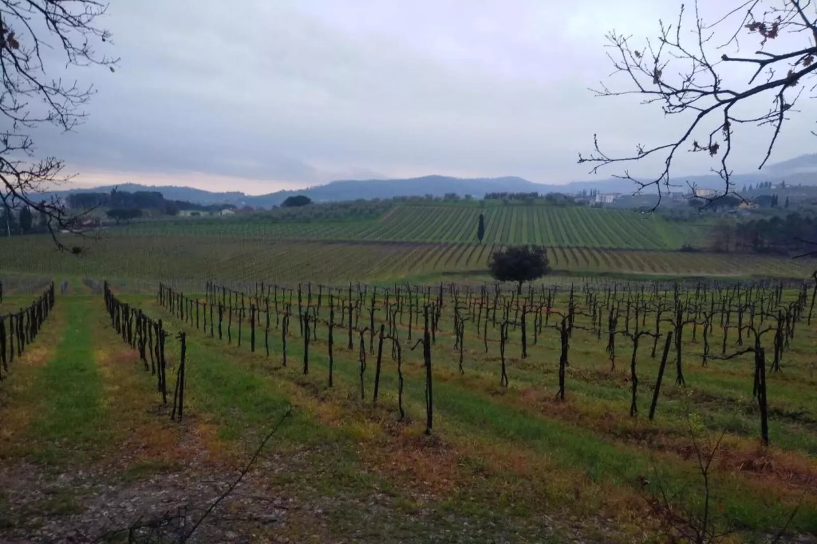 Saliceto Bilocale-Areas within 5km in summer
