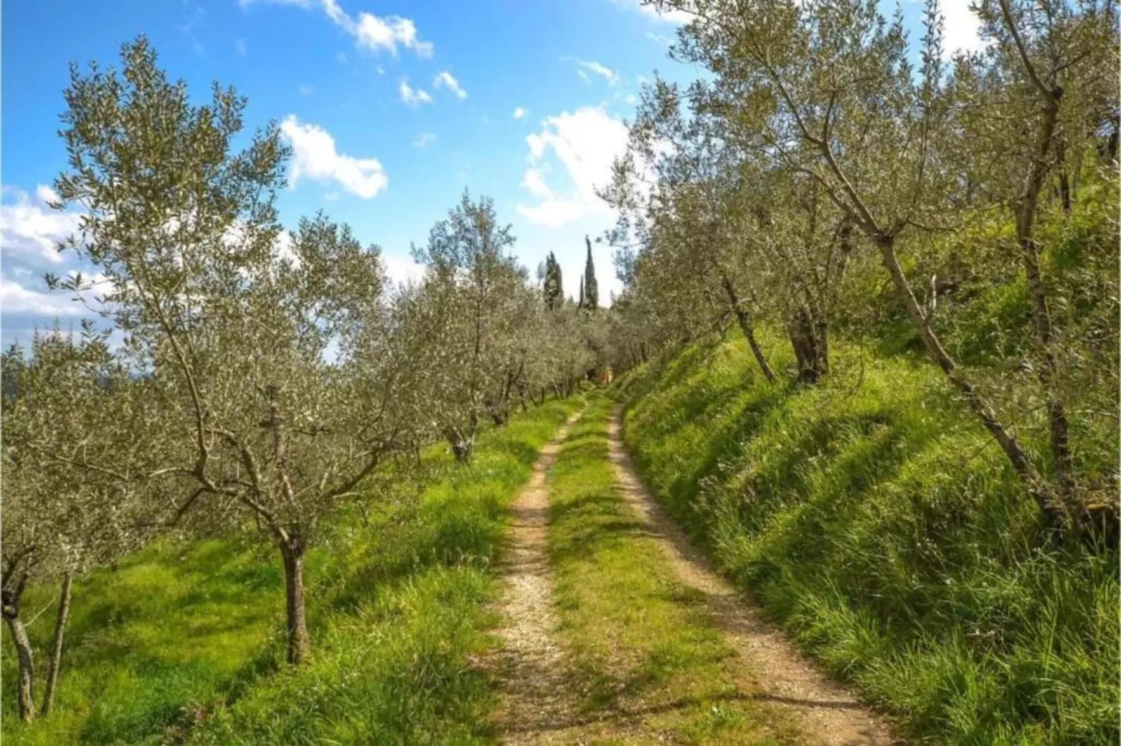 Monna Due-Areas within 20km in summer