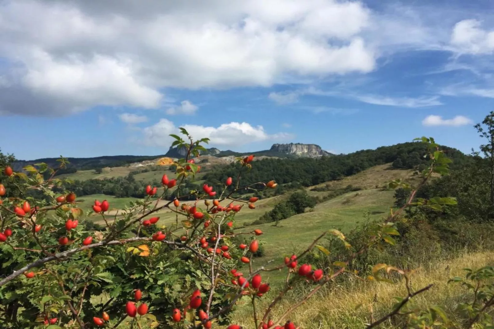 Simone-Zones été à 20 km