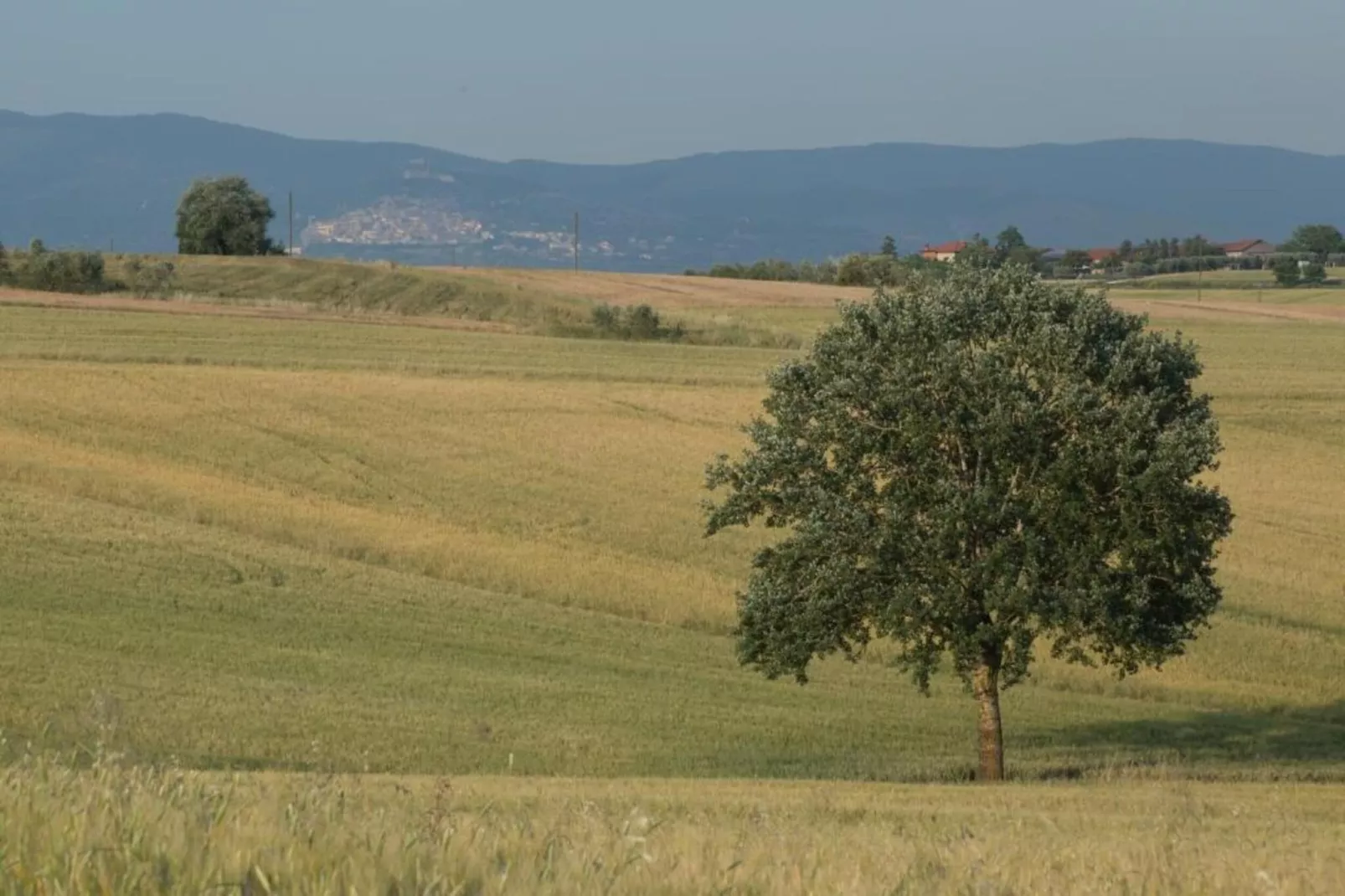 Pergola Otto-Areas within 20km in summer