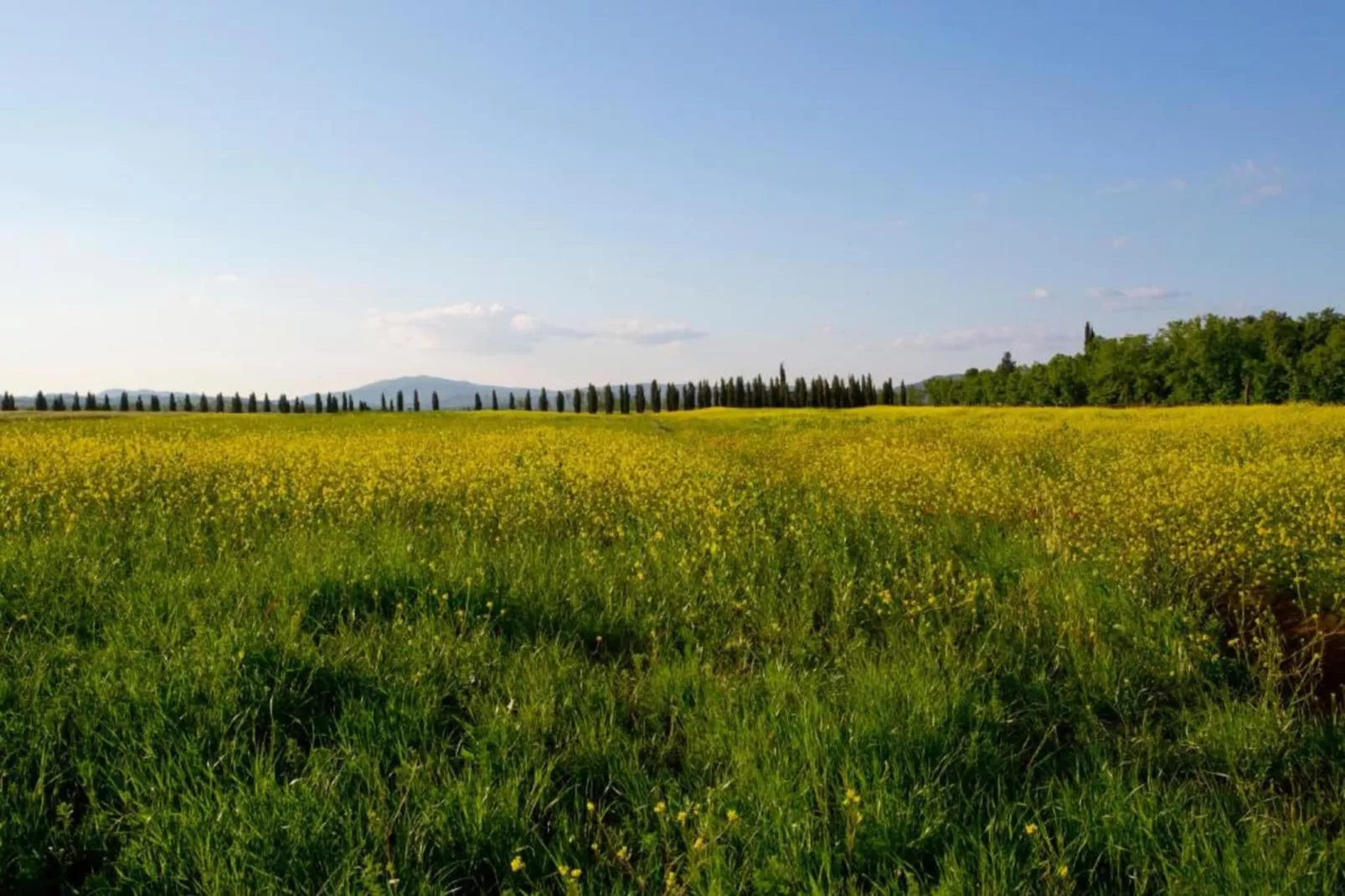 Ginestra1-Areas within 20km in summer