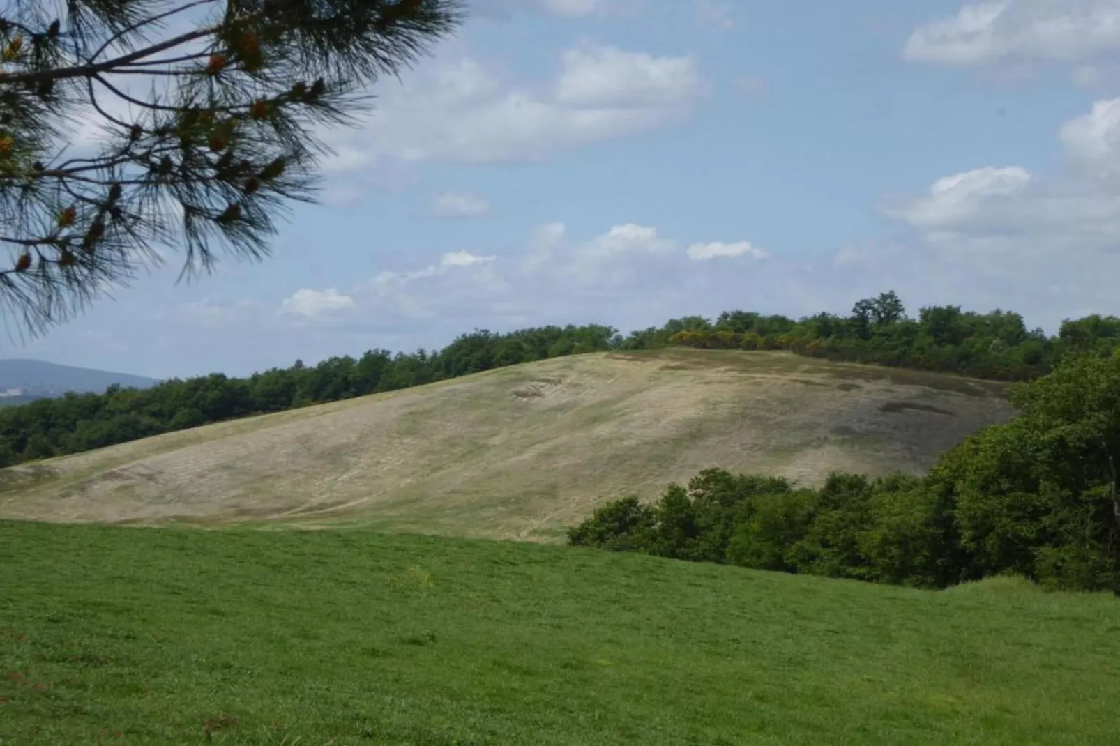 Forno-Gebiete Sommer 5 km