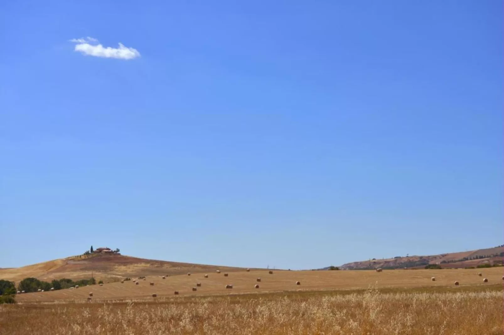 Tarugi-Gebiete Sommer 5 km