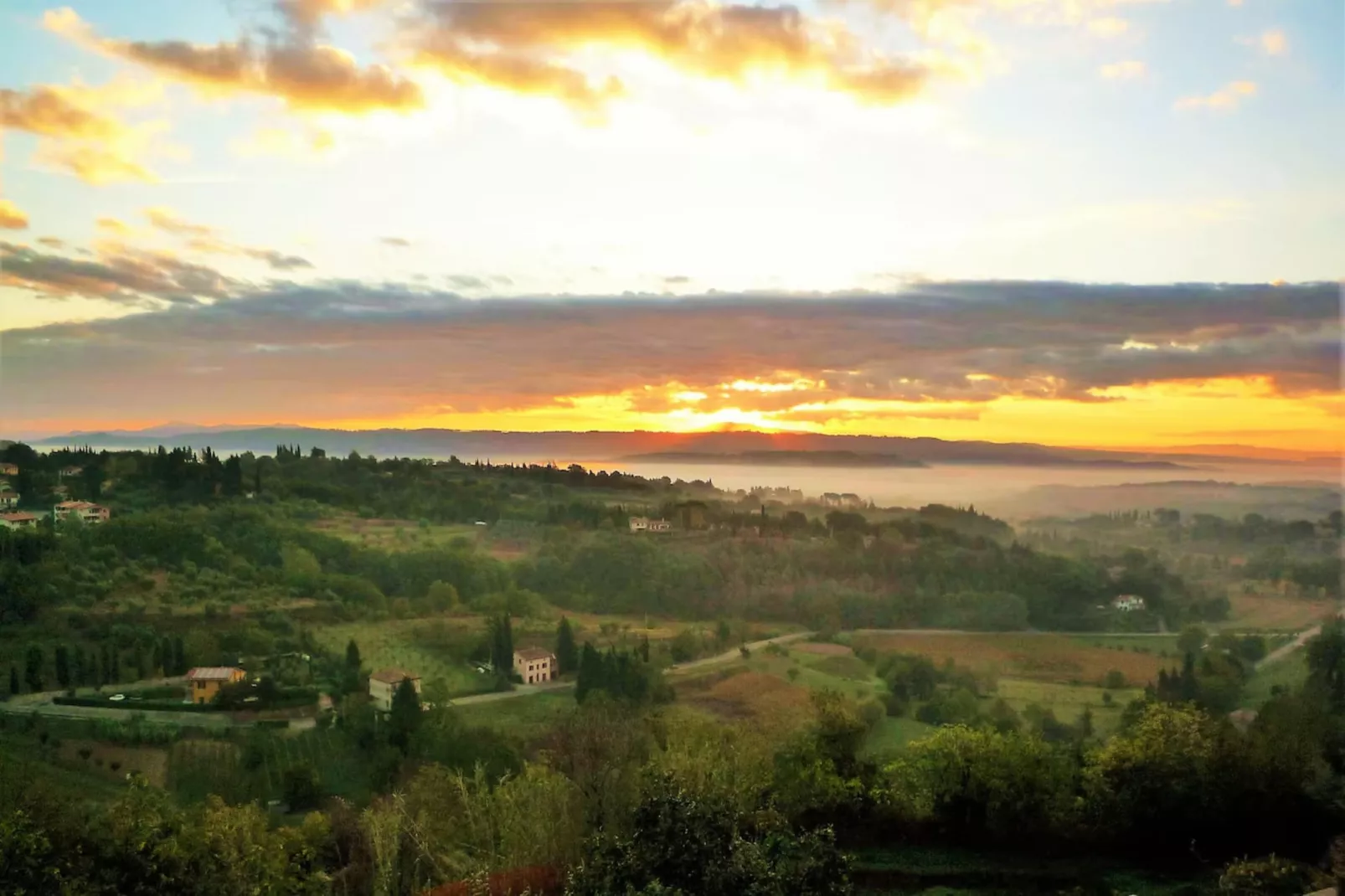 Paulonia-Areas within 20km in summer