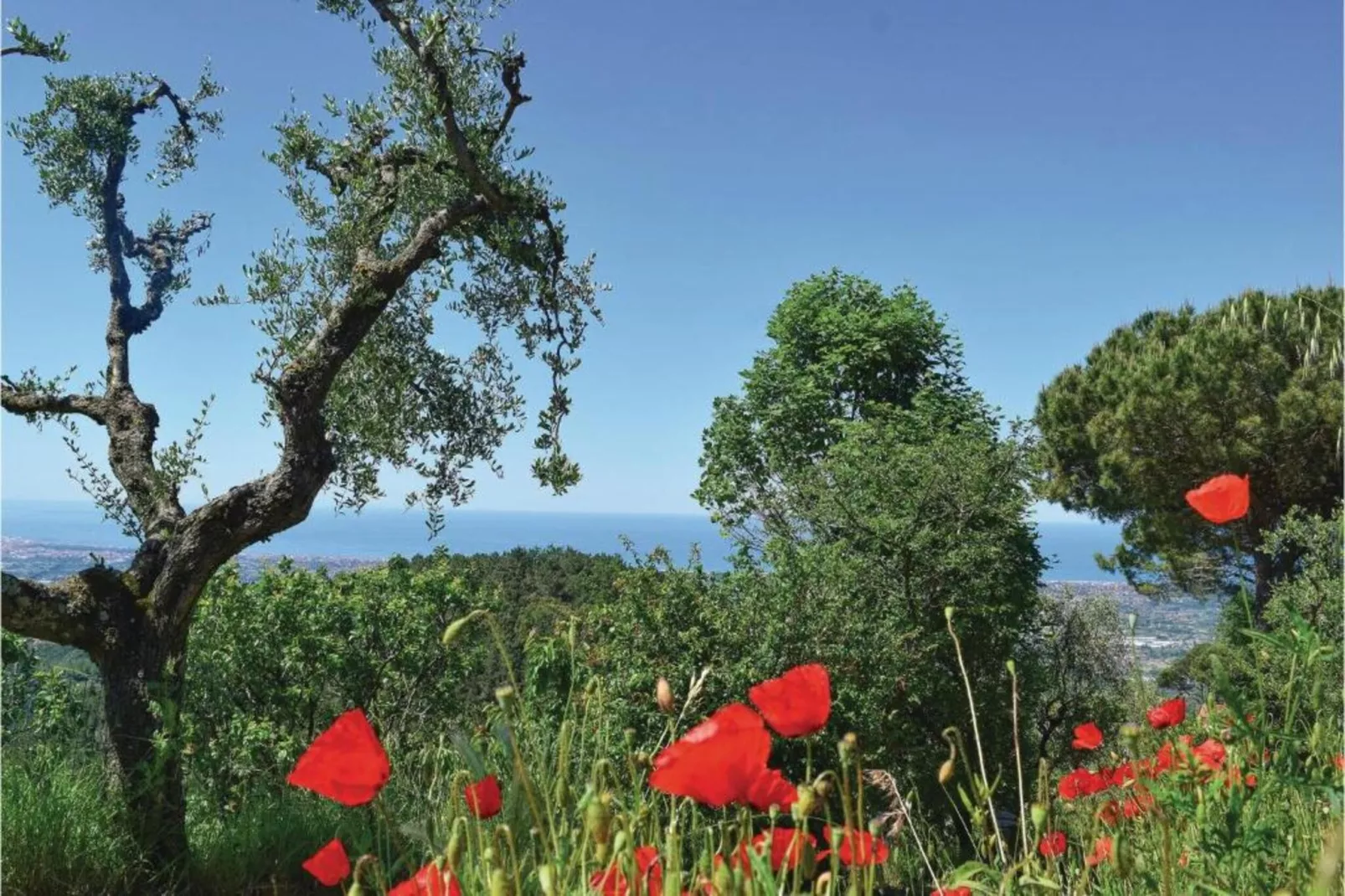 Casa Bel-Gebiete Sommer 20 km