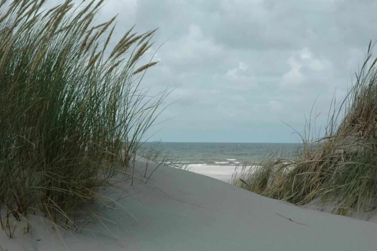 Duindroom op Terschelling-Areas within 20km in summer