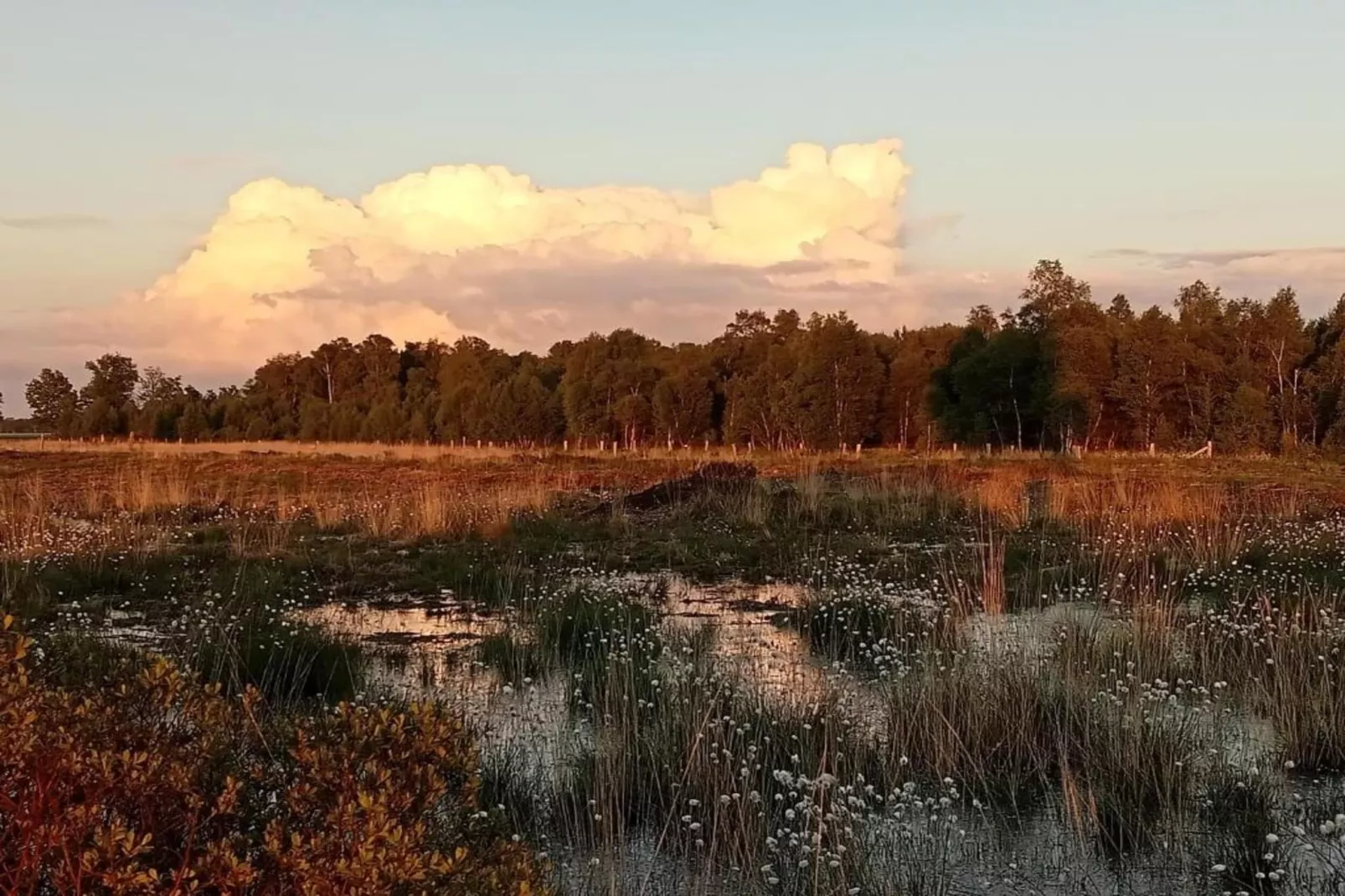 Tuinpad-Areas within 20km in summer