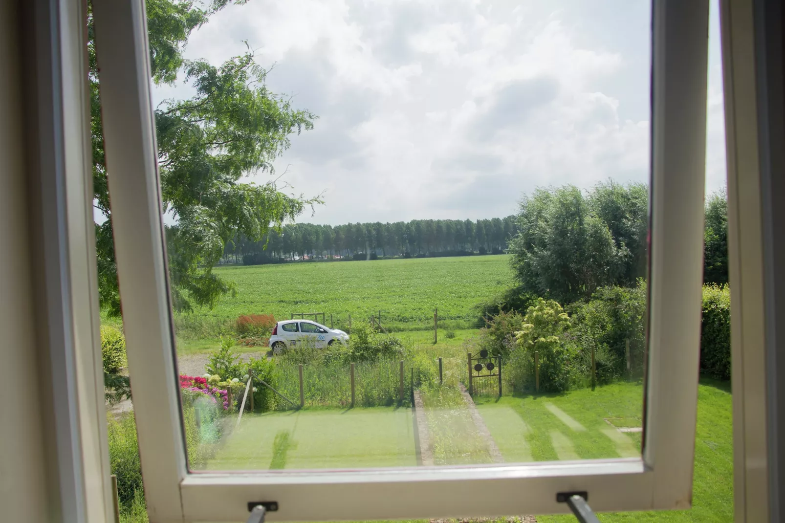 De Biezenknop-View in summer